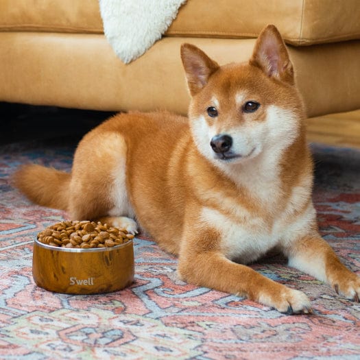 Pet-Bowl-32oz-Teakwood-2a.jpg